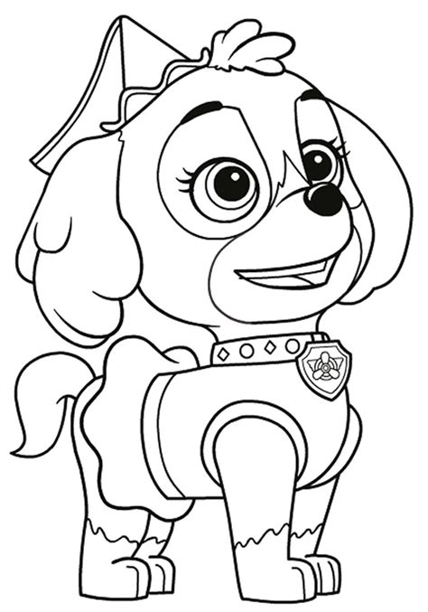 Desenhos Da Patrulha Canina Para Colorir Pintar E Imprimir Paw Patrol