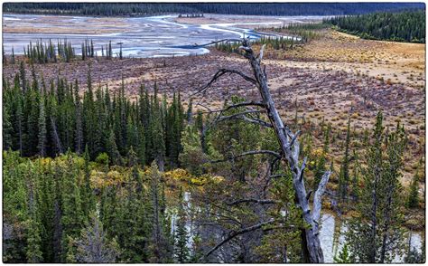 Canadian Wilderness 12 Foto And Bild North America Canada Landschaft