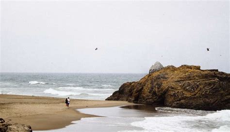 Gente Caminando En La Playa Durante El D A Elementos Play