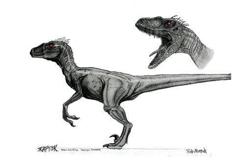 Male Velociraptor Concept Art By Yankeetrex On Deviantart Jurassic