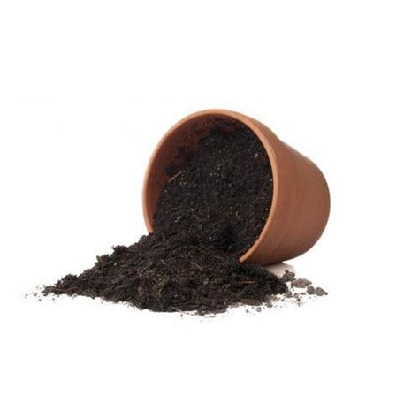 وقال المدير المالي للشركة، زيرك بوتينج، في بيان: تربة زراعية 10لتر Potting Soil- تربة مخصصه للأحواض ونباتات ...