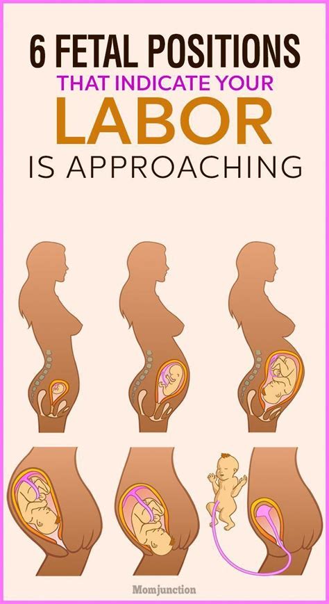 6 Fetal Positions That Indicate Your Labor Is Approaching Fetal Position Pregnancy