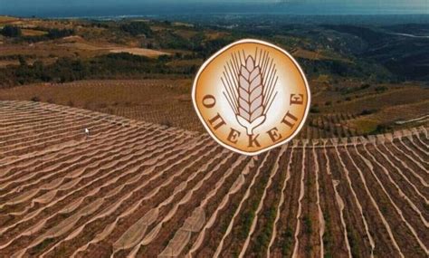 Το επίδομα παιδιού που καταβάλλεται από 1/1/2018 και αντικαθιστά το ενιαίο επίδομα στήριξης τέκνων και το ειδικό. ΟΠΕΚΕΠΕ: Νέα πληρωμή σε δικαιούχους αγρότες - Δείτε ΕΔΩ τα ...