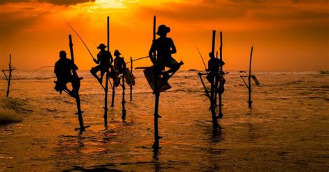 Stilt Fishing Sri Lankan Tradition Of All Time Contourline Travels