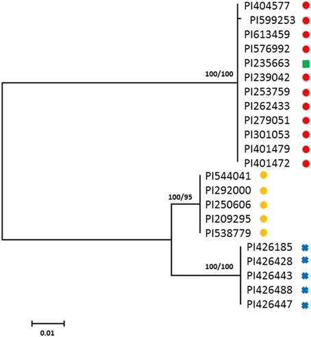 Molecular data that are in the form of dna or. Frontiers | A case study on the genetic origin of the high ...