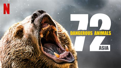 Is 72 Dangerous Animals Asia Available To Watch On Netflix In