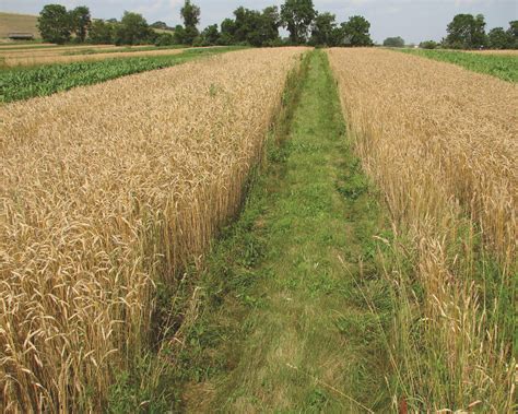 An Evaluation Of Carbon Indicators Of Soil Health In Long Term