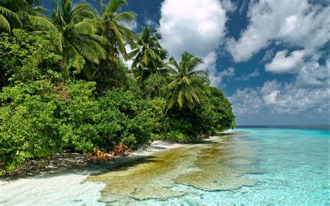 To get more templates about posters,flyers,brochures,card,mockup,logo,video,sound,ppt,word,please visit pikbest.com. Обои на рабочий стол / Picturesque Scenery Nature ...