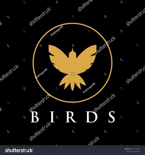 Golden Bird Logo Stock Vector Royalty Free 1107173507 Shutterstock