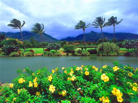 夏威夷海滨风光高清壁纸风景太平洋科技