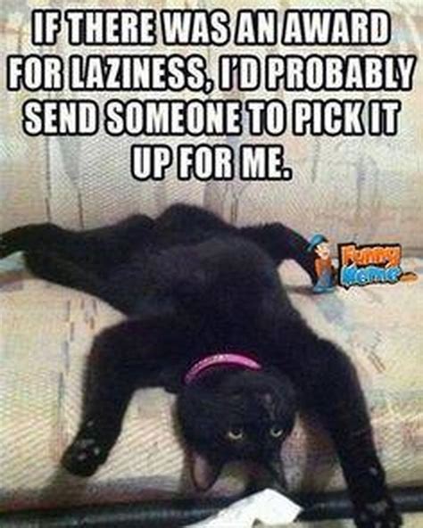 17 Animal Memes Only Lazy People Will Understand Cuteness