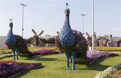 Flower Park En Dubai Dubai Miracle Garden Emiratos Árabes Unidos 2023