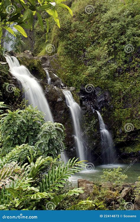 Tropical Maui Waterfall Stock Image Image Of Jungle 22414873