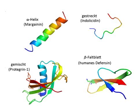 It can recognize the canonical cleavage site, enlyfq/g 11 and the p1' position can tolerate substitutions. Antibiotika-Alternativen, Teil 3: Antimikrobielle Peptide ...