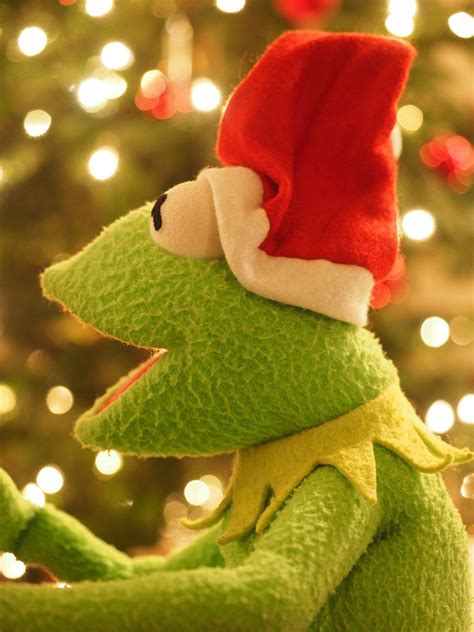 Pin By F Thefrog On Kermit Christmas Winter Muppets Kermit