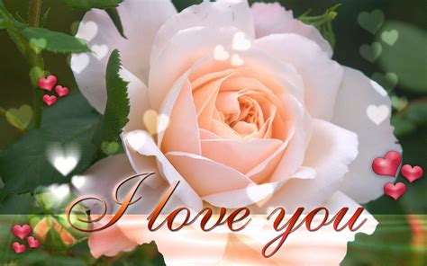 New Latest I Love You Wallpapers On This Valentines Day 2013