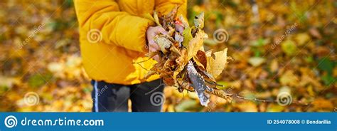 Happy Adorable Child Girl Laughing And Playing Yellow Fallen Leaves