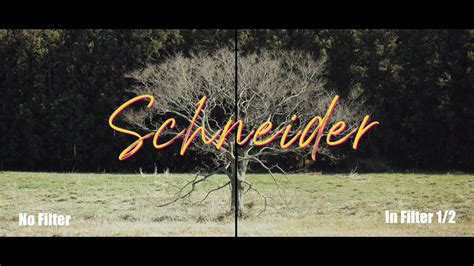 Eng 당신의 영상에 시네룩을 더하는 방법 Schneider Hollywood Black Magic Filter Youtube