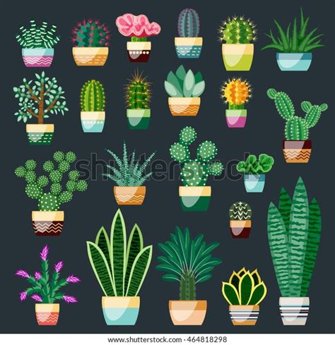 You can use this space to go into a little more detail about your company. Set Cactus Succulents Pots Indoor Plants Stock Vector ...