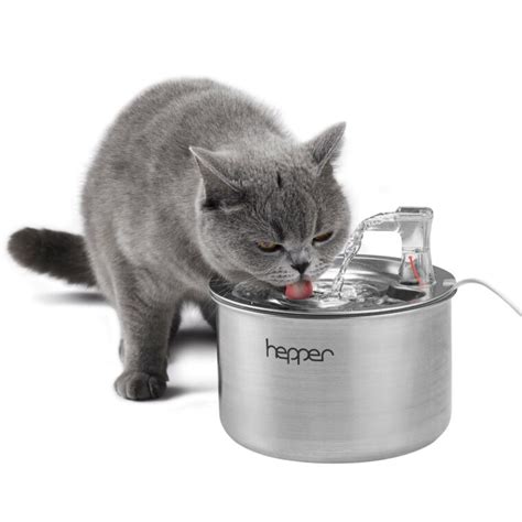 9 Best Spill Proof Cat Water Bowls In 2023 Reviews And Top Picks Pet Keen