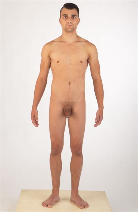Nude Male Anatomy Pics Xhamster