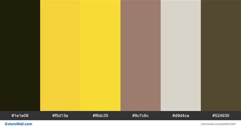 Dashboard App Colors Palette Black Yellow Primary Colorswall