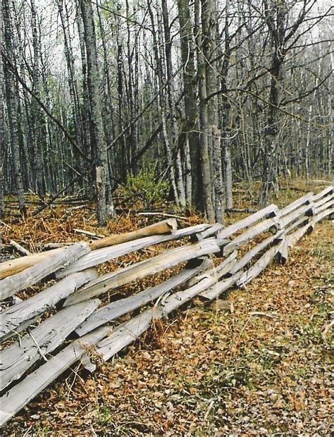 Due to their low cost, simple design, and aesthetic appeal, these fences have. Cedar Split Rail Fence Designs - WoodWorking Projects & Plans