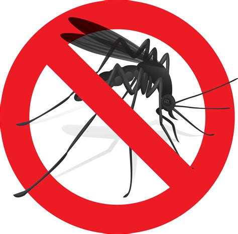 Most commonly, the mosquitoes involved are aedes. What You Need to Know About the Zika Virus