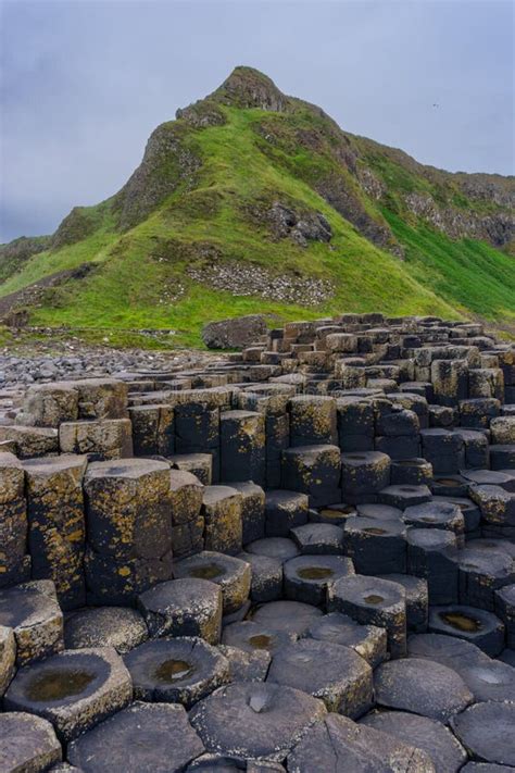 Vertical View Of The Many Volcanic Basalt Columns Of The Giant`s