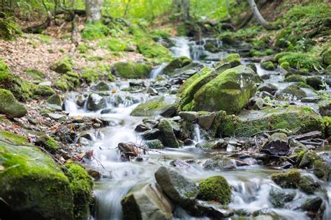 Premium Photo A Stream In A Mountain Forest Flows Through Cascades Of