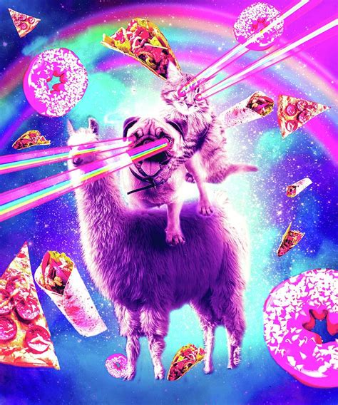 Laser Eyes Space Cat Riding Pug Llama Rainbow Digital Art By Random