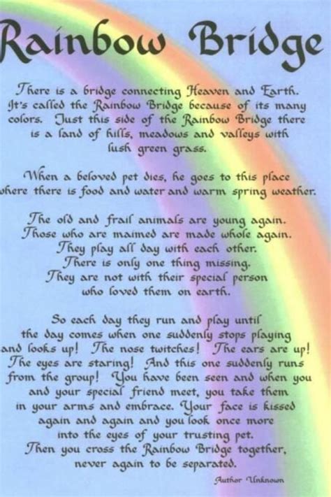 Mar 18, 2018 · the rainbow bridge is a theme for poems about the pet's journey after death, and a perfect title for this article. Pin by Pat Lewis on Quotes | Rainbow bridge dog, Rainbow ...