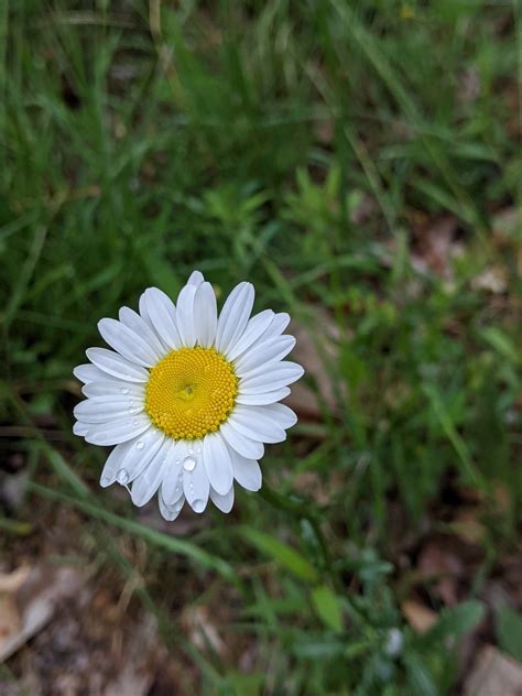 Navigating the Wilderness of Grief: Honoring Loss, Following the Path