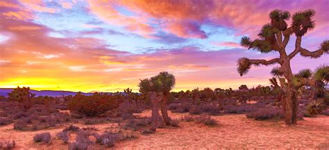 √ Desert Landscape Desktop Wallpaper Popular Century