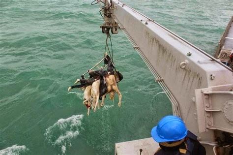 On december 28, 2014, 43 minutes into its flight, airasia flight 8501 vanished from radar. Foto-Foto Langka Korban AirAsia QZ 8501 - Media Impressive