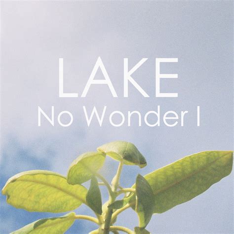 No Wonder I Single Lake