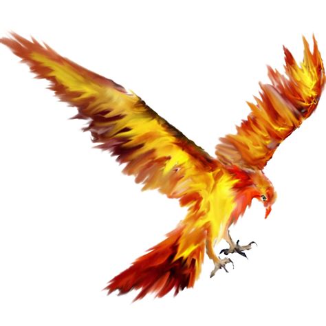 Phoenix clipart fawkes, Phoenix fawkes Transparent FREE for download on WebStockReview 2020