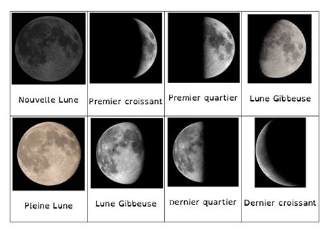Phases De La Lune