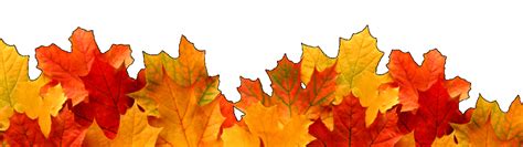 Autumn Leaves Fall Border Sticker By Constancekeller