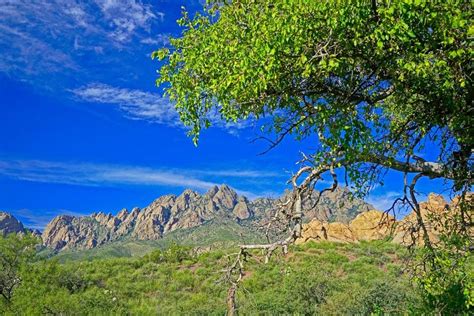 Las Cruces Nm 2024 Best Places To Visit Tripadvisor