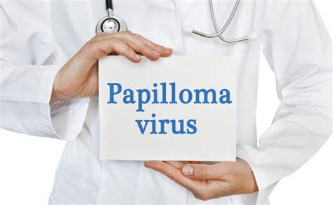 Todo Lo Que Debes Saber Sobre El Virus Del Papiloma Humano Vph Ideal