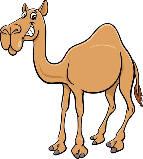 Cartoon Dromedary Camel Comic Animal Character 1921939 Vector Art At