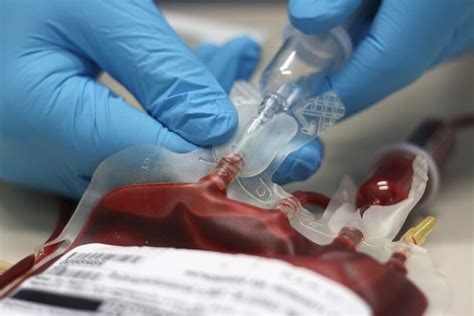 Make Way For Synthetic Blood Transfusions Technology Vista