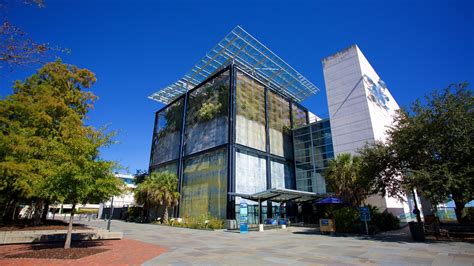 South Carolina Aquarium In Charleston South Carolina Expedia