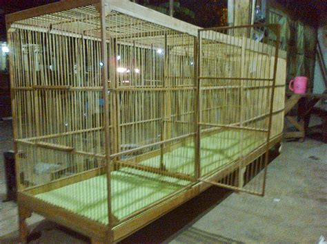 Oleh admindiposting pada mei 7, 2020. Gambar Kandang Umbaran Burung Kacer - Kandang 1