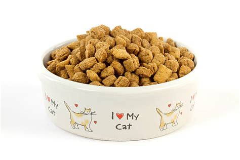 All of which are formulated to meet aafco cat throw out any wet food that your cat hasn't eaten from his dish within one hour. Royalty Free Cat Food Bowl Pictures, Images and Stock ...