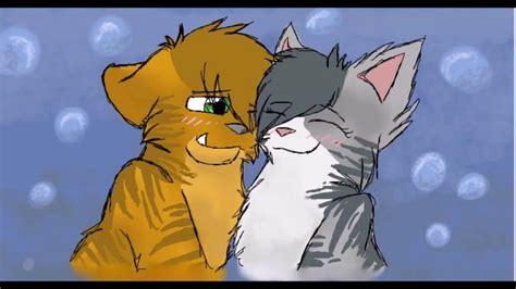 My Favourite Warrior Cats Couples Youtube