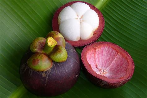 There are many local fruits of malaysia, and i think i've tried them all. Tropical Fruits in Malaysia - Great Fruits of Malaysia