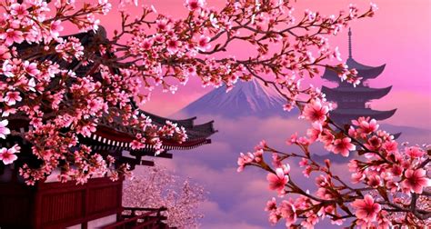 Anime Cherry Blossom Wallpaper 4k ~ Hd Wallpaper