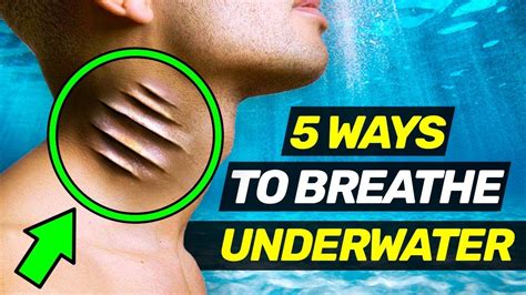 5 Insane Ways To Breathe Underwater Youtube
